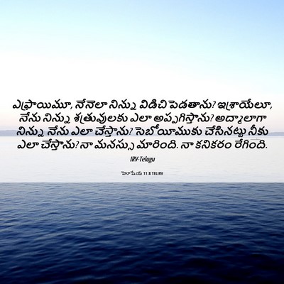 Picture 06 - హోషేయ 11:8 TELIRV - ఎఫ్రాయిమూ, నేనెలా - Bible Verse Picture
