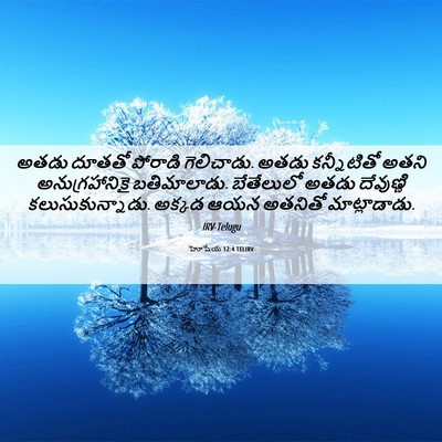 Picture 06 - హోషేయ 12:4 TELIRV - అతడు దూతతో పోరాడి - Bible Verse Picture