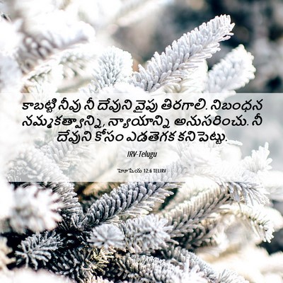 Picture 06 - హోషేయ 12:6 TELIRV - కాబట్టి నీవు నీ - Bible Verse Picture