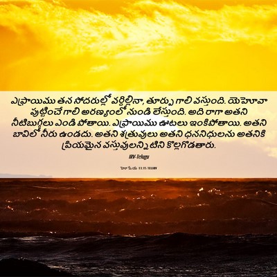 Picture 06 - హోషేయ 13:15 TELIRV - ఎఫ్రాయిము తన - Bible Verse Picture