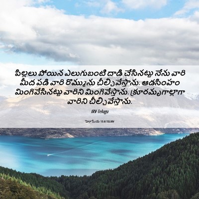 Picture 06 - హోషేయ 13:8 TELIRV - పిల్లలు పోయిన - Bible Verse Picture