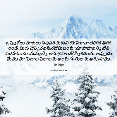 Picture 06 - హోషేయ 14:2 TELIRV - ఒప్పుకోలు మాటలు - Bible Verse Picture