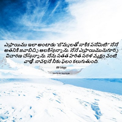 Picture 06 - హోషేయ 14:8 TELIRV - ఎఫ్రాయిము ఇలా - Bible Verse Picture