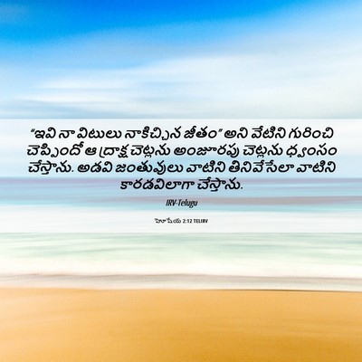 Picture 06 - హోషేయ 2:12 TELIRV - “ఇవి నా విటులు - Bible Verse Picture