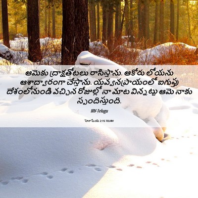 Picture 06 - హోషేయ 2:15 TELIRV - ఆమెకు - Bible Verse Picture