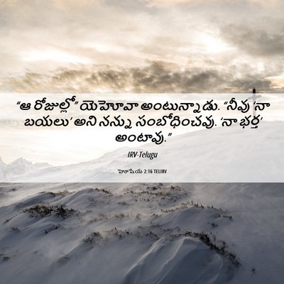 Picture 06 - హోషేయ 2:16 TELIRV - “ఆ రోజుల్లో” - Bible Verse Picture