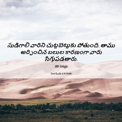 Picture 06 - హోషేయ 4:19 TELIRV - సుడిగాలి వారిని - Bible Verse Picture