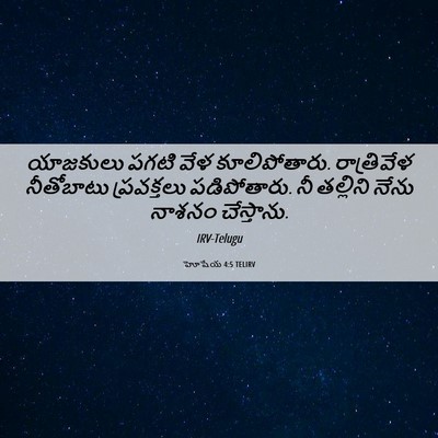 Picture 06 - హోషేయ 4:5 TELIRV - యాజకులు పగటి వేళ - Bible Verse Picture