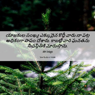 Picture 06 - హోషేయ 4:7 TELIRV - యాజకుల సంఖ్య - Bible Verse Picture