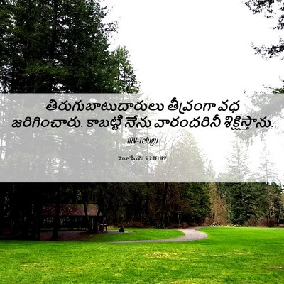 Picture 06 - హోషేయ 5:2 TELIRV - తిరుగుబాటుదారులు - Bible Verse Picture