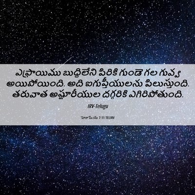Picture 06 - హోషేయ 7:11 TELIRV - ఎఫ్రాయిము - Bible Verse Picture