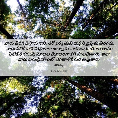 Picture 06 - హోషేయ 7:16 TELIRV - వారు తిరిగి - Bible Verse Picture