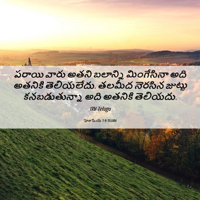 Picture 06 - హోషేయ 7:9 TELIRV - పరాయి వారు అతని - Bible Verse Picture
