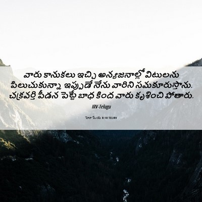 Picture 06 - హోషేయ 8:10 TELIRV - వారు కానుకలు - Bible Verse Picture