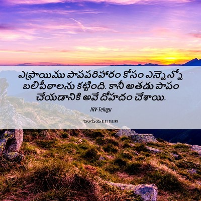Picture 06 - హోషేయ 8:11 TELIRV - ఎఫ్రాయిము - Bible Verse Picture