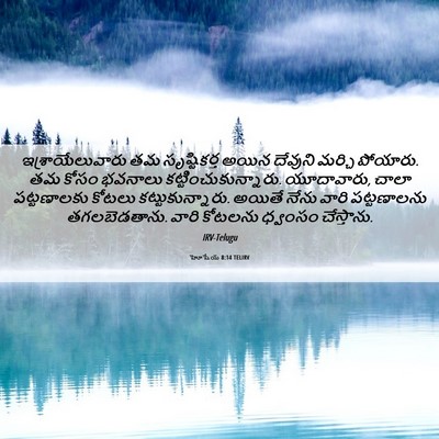 Picture 06 - హోషేయ 8:14 TELIRV - ఇశ్రాయేలువారు తమ - Bible Verse Picture