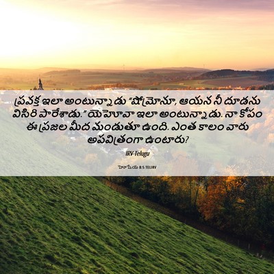 Picture 06 - హోషేయ 8:5 TELIRV - ప్రవక్త ఇలా - Bible Verse Picture