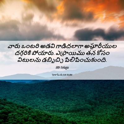 Picture 06 - హోషేయ 8:9 TELIRV - వారు ఒంటరి అడవి - Bible Verse Picture