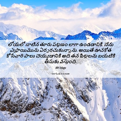 Picture 06 - హోషేయ 9:13 TELIRV - లోయలో నాటిన తూరు - Bible Verse Picture
