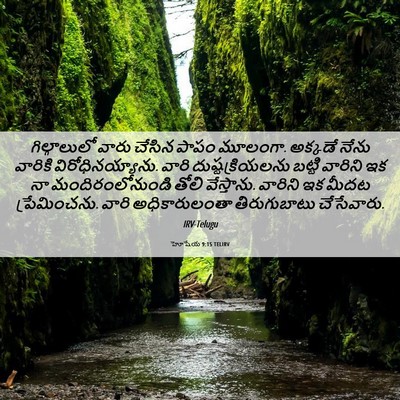 Picture 06 - హోషేయ 9:15 TELIRV - గిల్గాలులో వారు - Bible Verse Picture