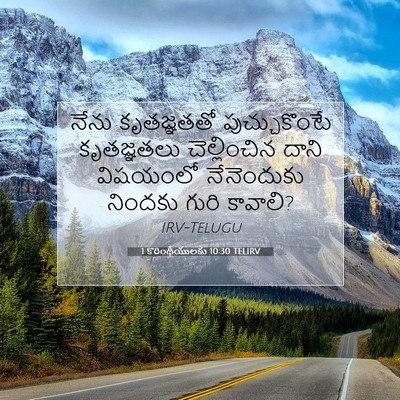Picture 07 - 1 కొరింథీయులకు 10:30 TELIRV - నేను కృతజ్ఞతతో - Bible Verse Picture
