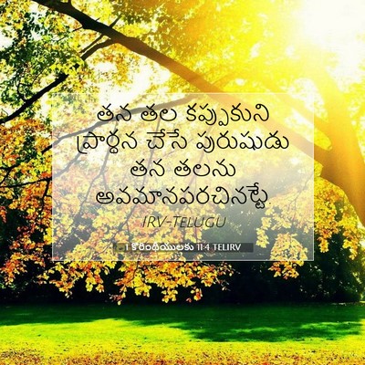 Picture 07 - 1 కొరింథీయులకు 11:4 TELIRV - తన తల కప్పుకుని - Bible Verse Picture