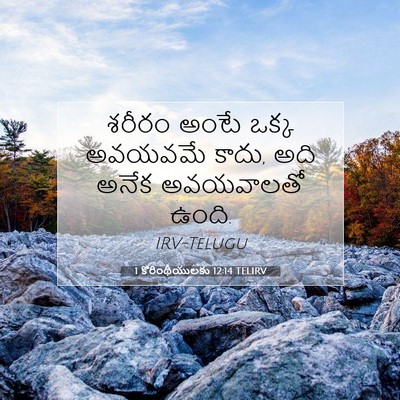 Picture 07 - 1 కొరింథీయులకు 12:14 TELIRV - శరీరం అంటే ఒక్క - Bible Verse Picture