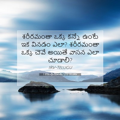 Picture 07 - 1 కొరింథీయులకు 12:17 TELIRV - శరీరమంతా ఒక్క - Bible Verse Picture