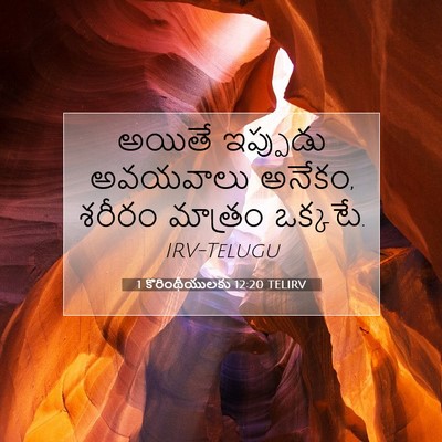 Picture 07 - 1 కొరింథీయులకు 12:20 TELIRV - అయితే ఇప్పుడు - Bible Verse Picture
