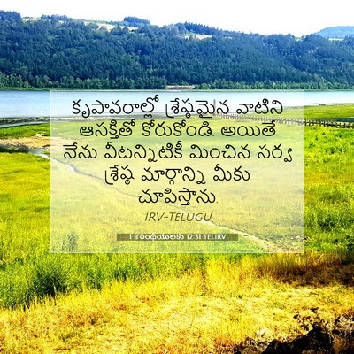 Picture 07 - 1 కొరింథీయులకు 12:31 TELIRV - కృపావరాల్లో - Bible Verse Picture