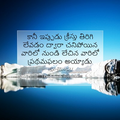 Picture 07 - 1 కొరింథీయులకు 15:20 TELIRV - కానీ ఇప్పుడు - Bible Verse Picture