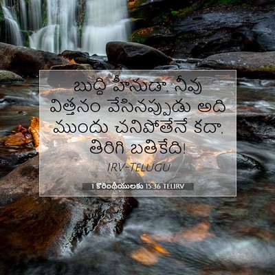 Picture 07 - 1 కొరింథీయులకు 15:36 TELIRV - బుద్ధి హీనుడా, - Bible Verse Picture