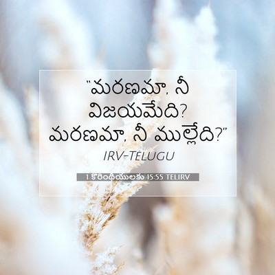 Picture 07 - 1 కొరింథీయులకు 15:55 TELIRV - “మరణమా, నీ - Bible Verse Picture