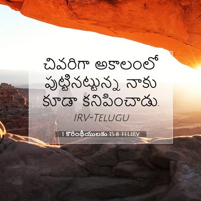 Picture 07 - 1 కొరింథీయులకు 15:8 TELIRV - చివరిగా అకాలంలో - Bible Verse Picture