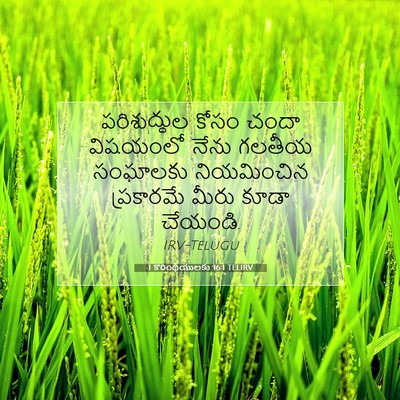 Picture 07 - 1 కొరింథీయులకు 16:1 TELIRV - పరిశుద్ధుల కోసం - Bible Verse Picture