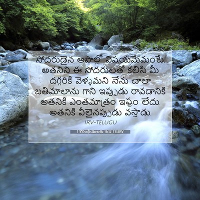 Picture 07 - 1 కొరింథీయులకు 16:12 TELIRV - సోదరుడైన అపొల్లో - Bible Verse Picture