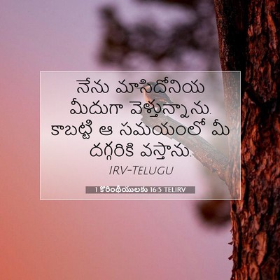 Picture 07 - 1 కొరింథీయులకు 16:5 TELIRV - నేను మాసిదోనియ - Bible Verse Picture