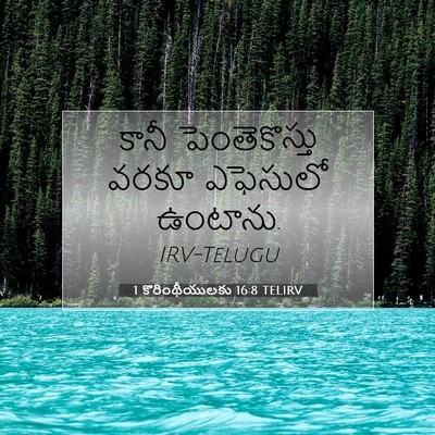 Picture 07 - 1 కొరింథీయులకు 16:8 TELIRV - కానీ పెంతెకొస్తు - Bible Verse Picture