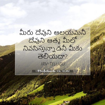 Picture 07 - 1 కొరింథీయులకు 3:16 TELIRV - మీరు దేవుని - Bible Verse Picture