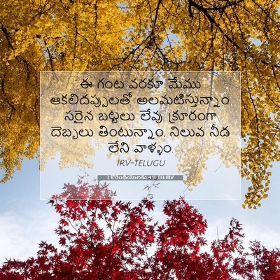Picture 07 - 1 కొరింథీయులకు 4:11 TELIRV - ఈ గంట వరకూ మేము - Bible Verse Picture