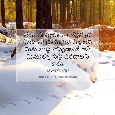 Picture 07 - 1 కొరింథీయులకు 4:14 TELIRV - నేను ఈ మాటలు - Bible Verse Picture