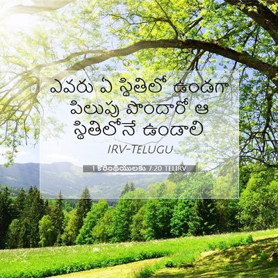 Picture 07 - 1 కొరింథీయులకు 7:20 TELIRV - ఎవరు ఏ స్థితిలో - Bible Verse Picture