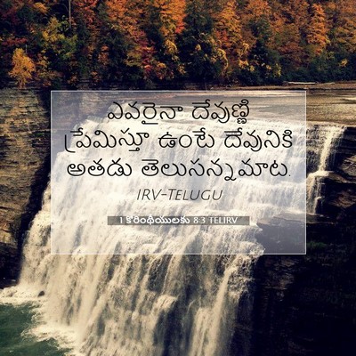 Picture 07 - 1 కొరింథీయులకు 8:3 TELIRV - ఎవరైనా దేవుణ్ణి - Bible Verse Picture