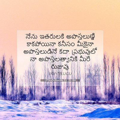 Picture 07 - 1 కొరింథీయులకు 9:2 TELIRV - నేను ఇతరులకి - Bible Verse Picture