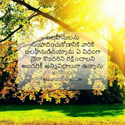 Picture 07 - 1 కొరింథీయులకు 9:22 TELIRV - బలహీనులను - Bible Verse Picture