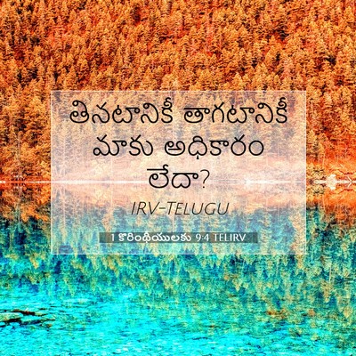 Picture 07 - 1 కొరింథీయులకు 9:4 TELIRV - తినటానికీ - Bible Verse Picture