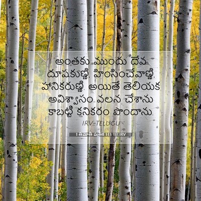 Picture 07 - 1 తిమోతి పత్రిక 1:13 TELIRV - అంతకు ముందు దేవ - Bible Verse Picture