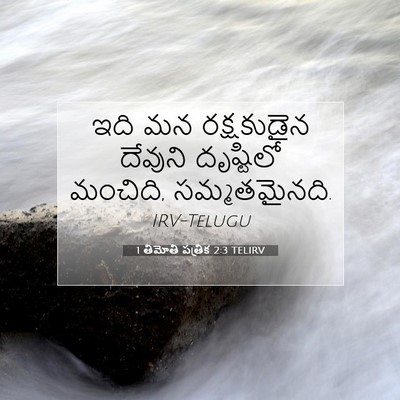 Picture 07 - 1 తిమోతి పత్రిక 2:3 TELIRV - ఇది మన రక్షకుడైన - Bible Verse Picture
