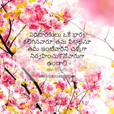 Picture 07 - 1 తిమోతి పత్రిక 3:12 TELIRV - పరిచారకులు ఒకే - Bible Verse Picture