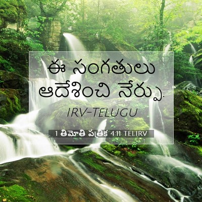 Picture 07 - 1 తిమోతి పత్రిక 4:11 TELIRV - ఈ సంగతులు - Bible Verse Picture